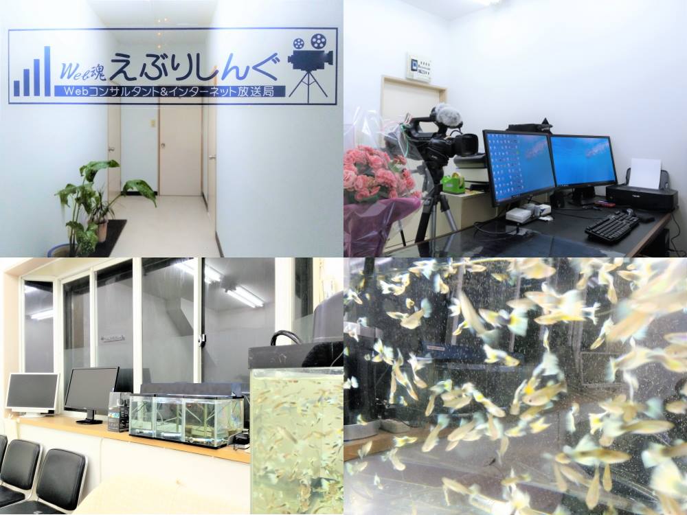 ホームページ作成 | えぶりしんぐ | 志摩市 | ITコンサルタントの外観