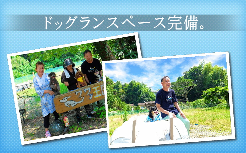 ペット泊まれる宿 伊勢志摩 的矢湾 旅館わたかの荘