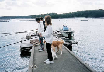 防波堤での五目釣り