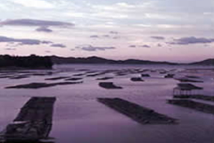 伊勢志摩地方の代表的な風景の一つ。夕景